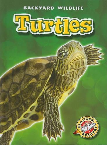 Cover image for Turtles