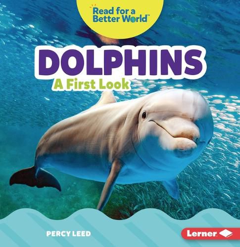 Dolphins: A First Look