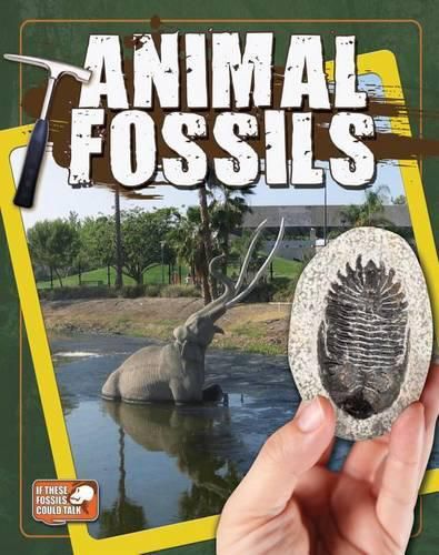 Cover image for Animal Fossils