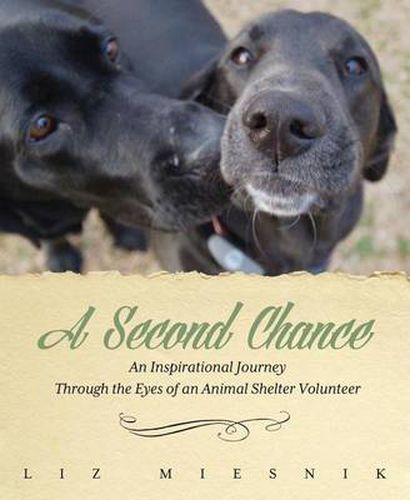 Cover image for A Second Chance: An Inspirational Journey through the Eyes of an Animal Shelter Volunteer