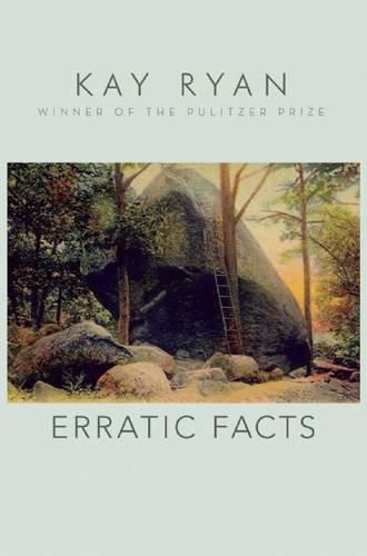 Cover image for Erratic Facts