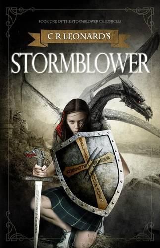 Cover image for Stormblower