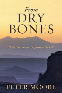 Cover image for From Dry Bones: Reflections on an Unpredictable Life
