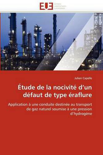 Cover image for Tude de La Nocivit D'Un Dfaut de Type Raflure