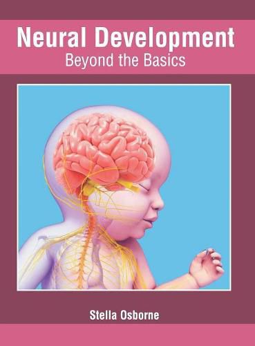 Cover image for Neural Development: Beyond the Basics