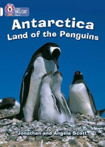 Cover image for Antarctica: Land of the Penguins: Band 10/White