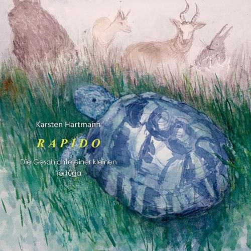 Cover image for Rapido: die Geschichten einer kleinen Tortuga