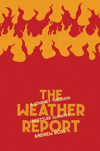 Cover image for The Weather Report