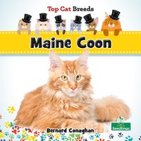 Cover image for Maine Coon