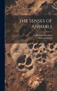 Cover image for The Senses of Animals