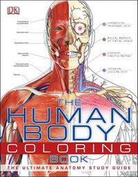 Cover image for The Human Body Coloring Book: The Ultimate Anatomy Study Guide