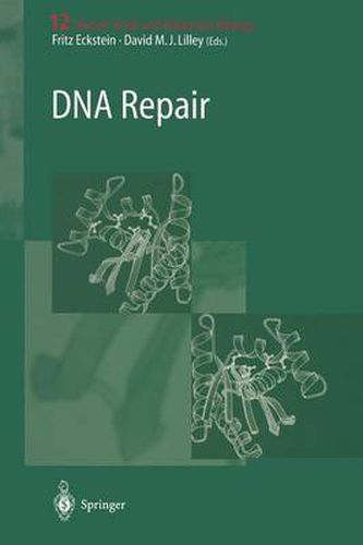 DNA Repair