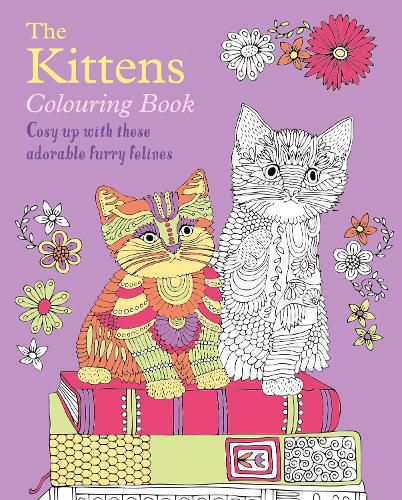 Cover image for The Kittens Colouring Book