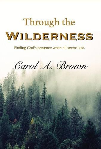 Through The Wilderness: Finding God's presence when all seems lost.