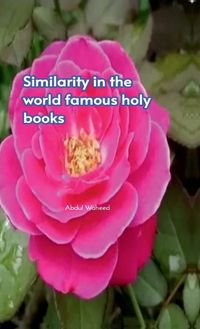 Cover image for Similarity in the world famous holy books