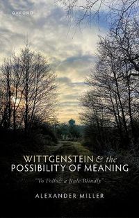 Cover image for Wittgenstein and the Possibility of Meaning