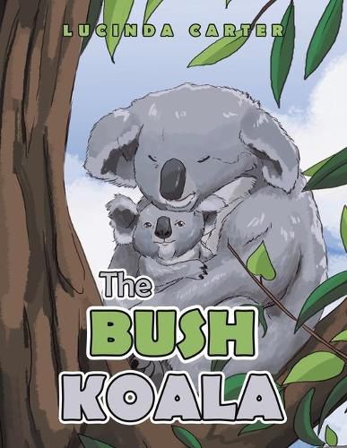 Cover image for The Bush Koala