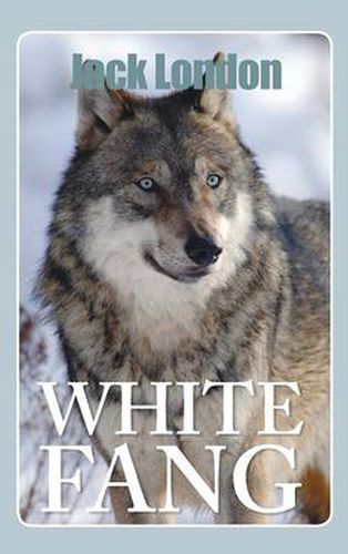 Cover image for White Fang