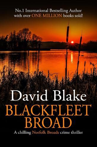Cover image for Blackfleet Broad