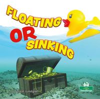 Cover image for Floating or Sinking