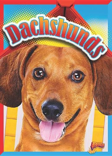 Cover image for Dachshunds