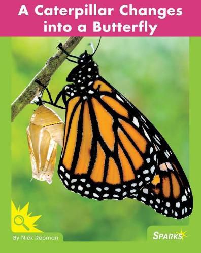 Cover image for A Caterpillar Changes Into a Butterfly