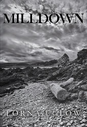 Cover image for Milldown