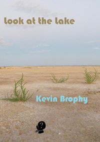 Cover image for Look at the Lake