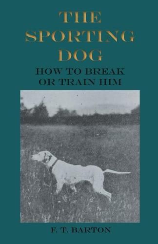 The Sporting Dog - How to Break or Train Him