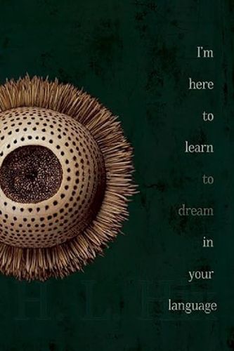 Cover image for I'm Here to Learn to Dream in Your Language