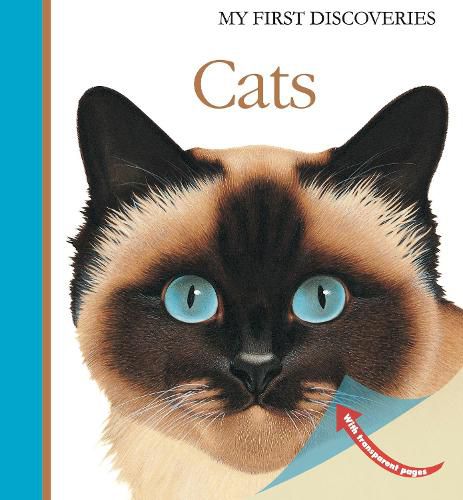 Cover image for Cats