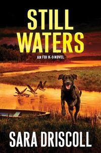 Cover image for Still Waters