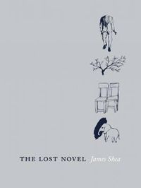 Cover image for The Lost Novel