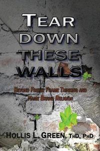 Cover image for Tear Down These Walls: Beyond Freeze Frame Thinking and Name Brand Religion