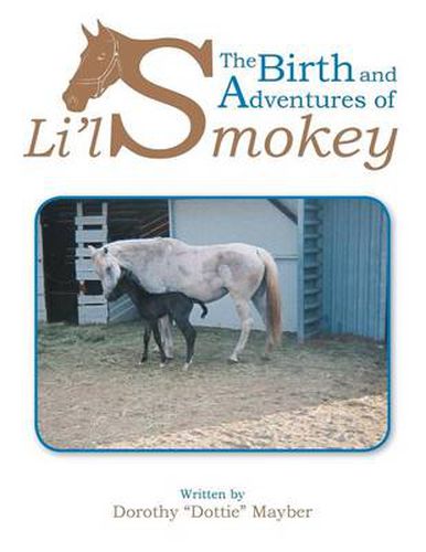 Cover image for The Birth and Adventures of Lil Smokey