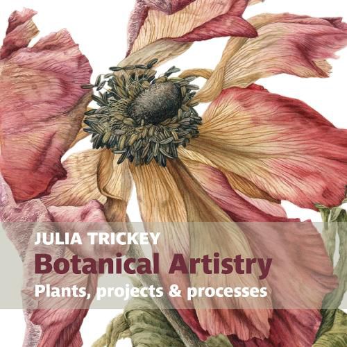 Cover image for Botanical artistry: Plants, projects and processes