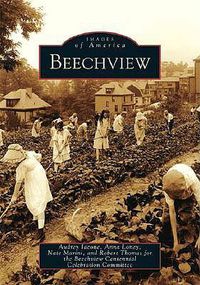 Cover image for Beechview