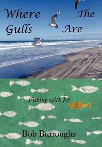 Cover image for Where the Gulls Are