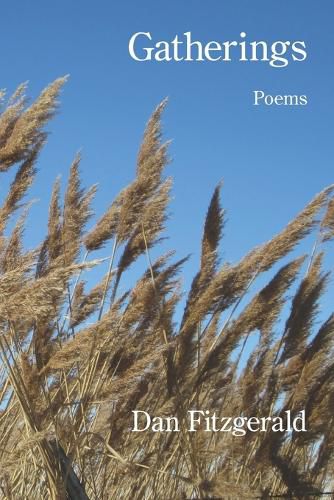 Cover image for Gatherings