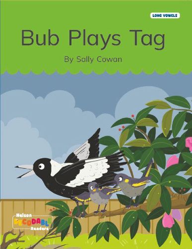 Cover image for Bub Plays Tag (Long Vowels Alternative Spellings)
