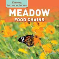 Cover image for Meadow Food Chains