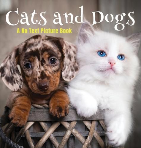 Cover image for Cats and Dogs, A No Text Picture Book