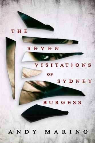 Cover image for The Seven Visitations of Sydney Burgess