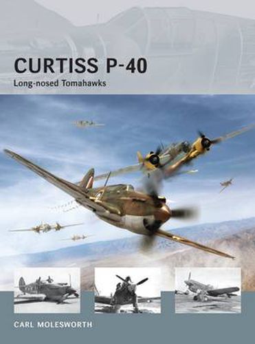 Curtiss P-40: Long-nosed Tomahawks