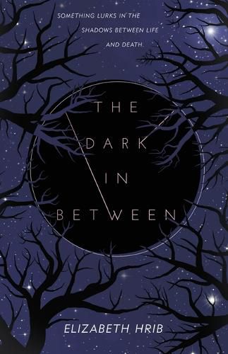 Cover image for The Dark In-Between