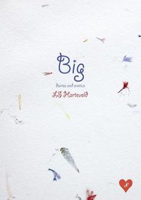 Cover image for Big diaries and erotica