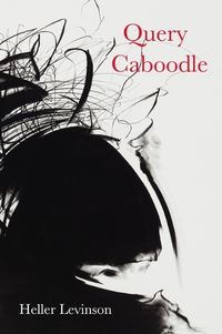 Cover image for Query Caboodle