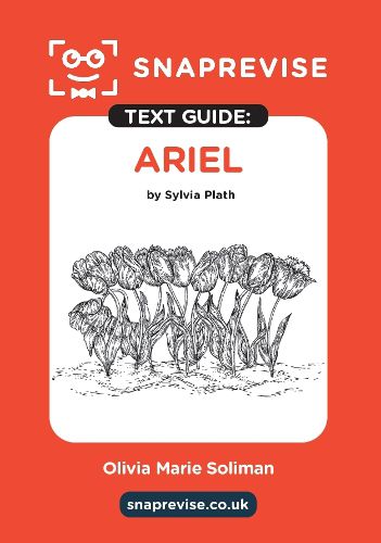 Cover image for Ariel Text Guide: English Literature Revision Book | Includes Analysis, Key Quotes, Character Insights, and Sample Essays for Top Grades