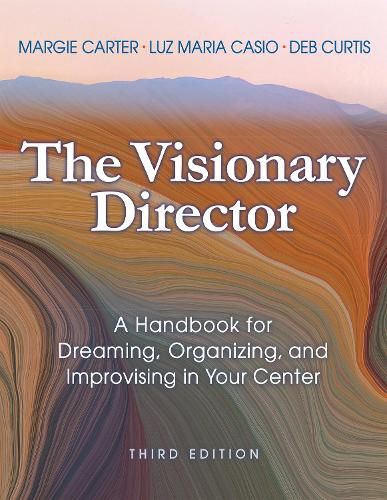 Cover image for Visionary Director