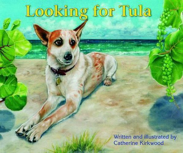 Cover image for Looking for Tula